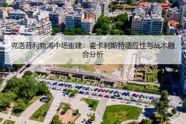 ke-luo-pu-li-wu-pu-zhong-chang-chong-jian-mai-ka-li-si-te-shi-ying-xing-yu-zhan-shu-rong-he-fen-xi-3-256.jpg