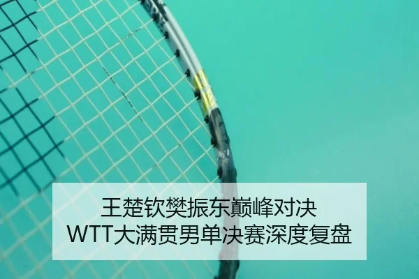 王楚钦樊振东巅峰对决 WTT大满贯男单决赛深度复盘